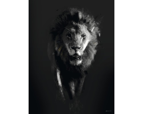 Kunstdruck Lion Dark 18x24 cm