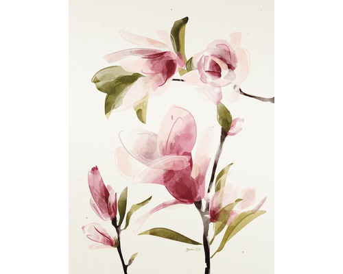 Kunstdruck Magnolia II 24x30 cm