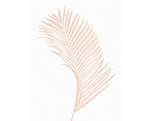 Kunstdruck Palm Leaf 40x50 cm