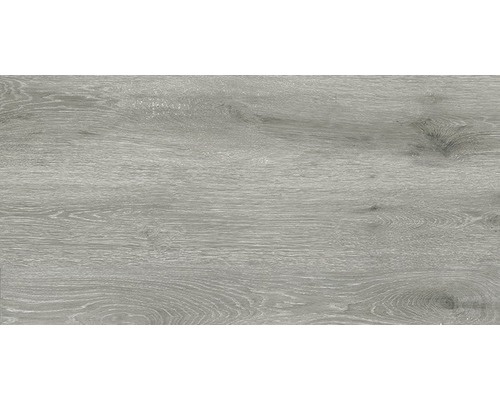 Feinsteinzeug Wand- und Bodenfliese Count Grey 60x120 cm