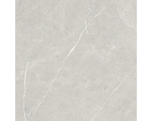 Feinsteinzeug Wand- und Bodenfliese Always Pearl Natural 60x60 cm