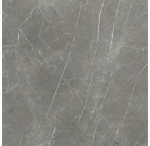 Feinsteinzeug Wand- und Bodenfliese Always Dark Natural 120x120 cm