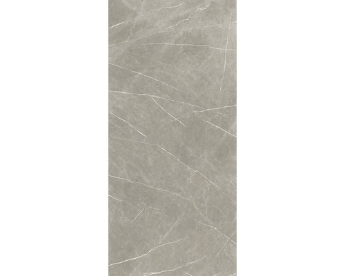 Graue Bodenfliese mit Marmoroptik