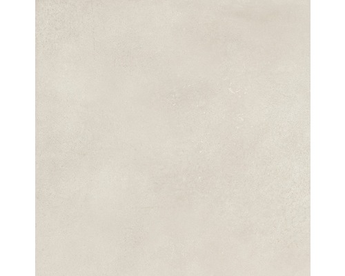 Feinsteinzeug Wand- und Bodenfliese Fresh Ivory Natural 80x80 cm