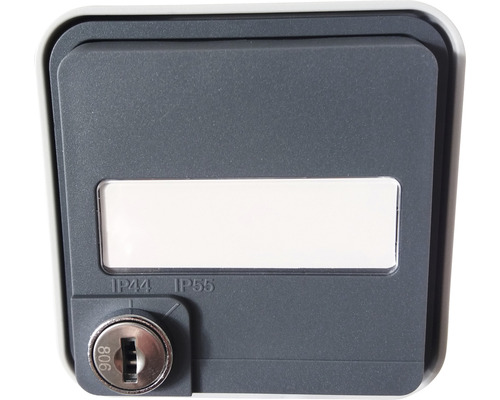 Berker 47393505 Schutzkontaktsteckdose schließbar IP55 Aufputz grau/lichtgrau-matt W.1 mit Klappdeckel Beschriftungsfeld mit erhöhtem Berührungsschutz Briefkasten mit Sichtfenster und Schloss
