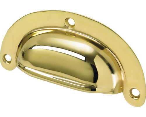 Möbelgriff Muschelgriff Stahl vermessingt LxBxH 20/95/48 mm Goldfarbener Schalengriff für Schubladen