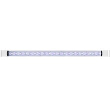 LED-Aquarienleuchte