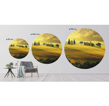 Drei runde Wandbilder mit toskanischer Landschaft in den Größen 95 cm, 142,5 cm und 190 cm