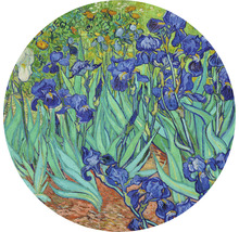 Fototapete Vlies HRBC000051 Van Gogh Schwertlilien Ø 95 cm