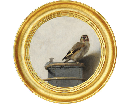 Fototapete Vlies HRBC000054 Carel Fabritius Der Distelfink 2 Ø 95 cm Gemälde eines Stieglitzes in einem goldenen Rahmen