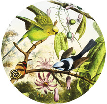 Fototapete Vlies HRBC000059 Vogel Illustration 2 Ø 95 cm