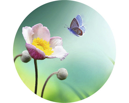 Fototapete Vlies HRBC000061 Blume mit Schmetterling Ø 95 cm