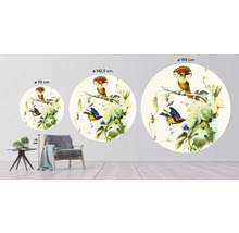Fototapete Vlies HRBC000058 Vogel Illustration 1 Ø 95 cm