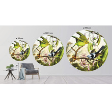 Fototapete Vlies HRBC000059 Vogel Illustration 2 Ø 95 cm