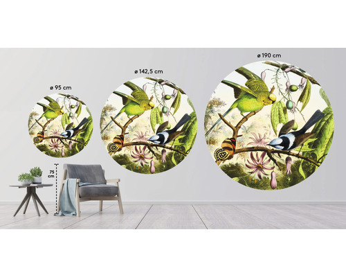 Drei Wandkreise mit Vogelmotiven in verschiedenen Größen, Durchmesser 95 cm, 142,5 cm und 190 cm.