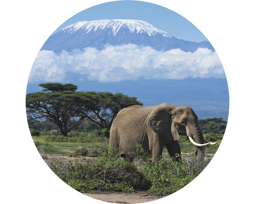 Fototapete Vlies HRBC000082 Kilimanjaro Elefant Ø 95 cm