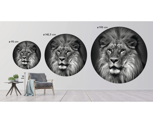 Wandaufkleber Löwe in verschiedenen Größen