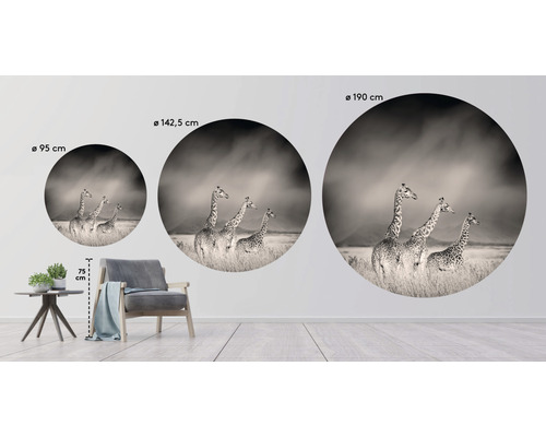 Wandbild mit Giraffenmotiv in drei verschiedenen Größen
