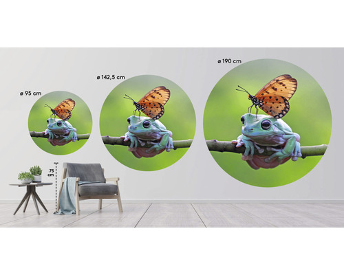 Wandsticker mit Frosch und Schmetterling in drei verschiedenen Größen