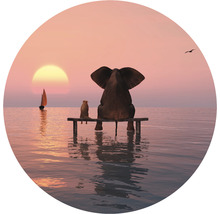 Fototapete Vlies HRBC100018 Elefant und Hund 4 Ø 142,5 cm