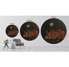 Fototapete Vlies HRBC100053 Adriaen Coorte Stilleben mit Erdbeeren Ø 142,5 cm