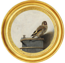 Fototapete Vlies HRBC100054 Carel Fabritius Der Distelfink 2 Ø 142,5 cm