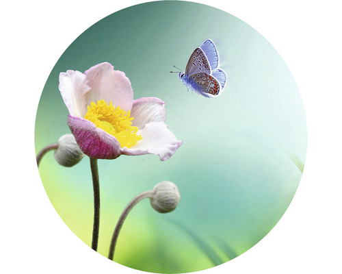 Fototapete Vlies HRBC100061 Blume mit Schmetterling Ø 142,5 cm