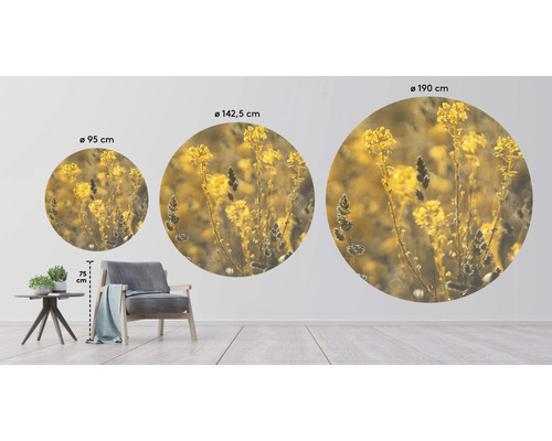 Drei runde Wandbilder mit Pflanzenmotiv in verschiedenen Größen an einer Wand