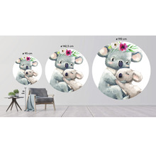 Fototapete Vlies HRBC100089 Koala Ø 142,5 cm