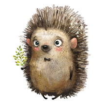 Fototapete Vlies HRBC100093 Igel Ø 142,5 cm