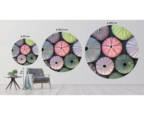 Wandsticker mit Seeigelmotiven in verschiedenen Größen im Wohnzimmer