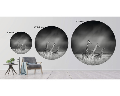 Wandbilder mit Giraffenmotiv in drei verschiedenen Grössen: 95 cm, 142,5 cm und 190 cm.
