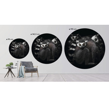 Drei runde Wandbilder mit Lemurenmotiven in verschiedenen Größen an einer Wand, Größen von 95 cm bis 190 cm
