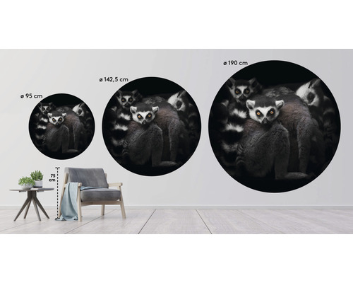 Drei runde Wandbilder mit Lemurenmotiven in verschiedenen Größen an einer Wand, Größen von 95 cm bis 190 cm
