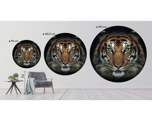 Drei runde Tiger Wandbilder in verschiedenen Größen