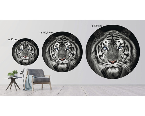 Drei Wandaufkleber mit Tigermotiven in unterschiedlichen Größen in Wohnraum.