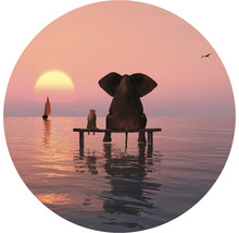 Fototapete Vlies HRBC200018 Elefant und Hund 4 Ø 190 cm