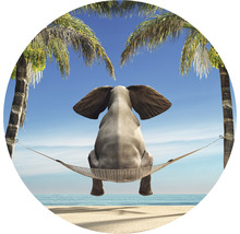 Dekoratives Bild eines Elefanten, der in einer Hängematte zwischen Palmen am Strand sitzt.