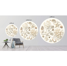 Dekoratives Wandbild mit Muscheln und Seesternen in drei verschiedenen Größen