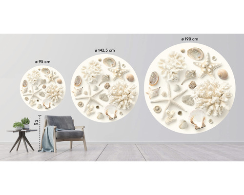Dekoratives Wandbild mit Muscheln und Seesternen in drei verschiedenen Größen