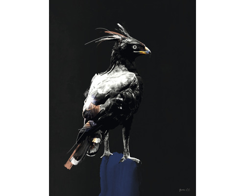 Kunstdruck Eagle 30x40 cm