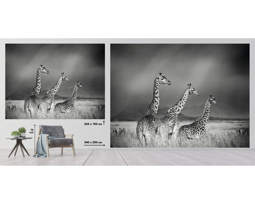 Fototapete mit Giraffenmotiv im Querformat