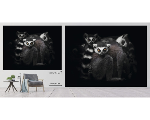 Fototapete mit Lemuren-Motiv zur Wandgestaltung