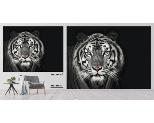 Wandbild mit Tiger-Motiv, Größe 340 mal 254 Zentimeter