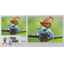 Fototapete Vlies HRBP000012 Frosch + Schmetterling 5-tlg. 243 x 184 cm