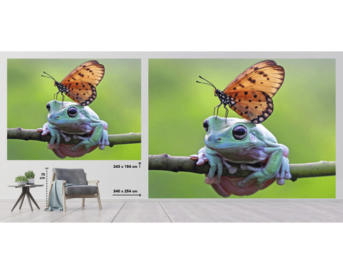 Fototapete mit Frosch und Schmetterling