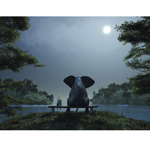 Fototapete Vlies HRBP000015 Elefant und Hund 2 5-tlg. 243 x 184 cm