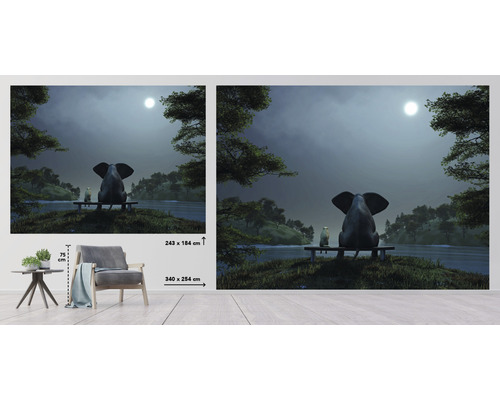 Fototapete mit Elefant, Katze und See bei Nacht, Größe 340 mal 254 Zentimeter