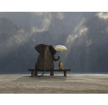Fototapete Vlies HRBP000016 Elefant und Hund 3 5-tlg. 243 x 184 cm