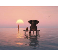 Fototapete Vlies HRBP000018 Elefant und Hund 4 5-tlg. 243 x 184 cm